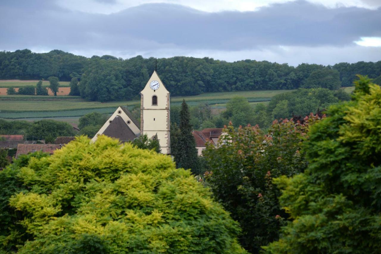 Gite Aux Deux Clochers Zimmersheim Экстерьер фото